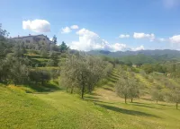 Getaway Amidst Vineyards