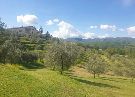 Getaway Amidst Vineyards