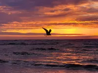 Apartment in top location. Wifi, parking space, balcony, bicycle shed Hotels in Gromitz