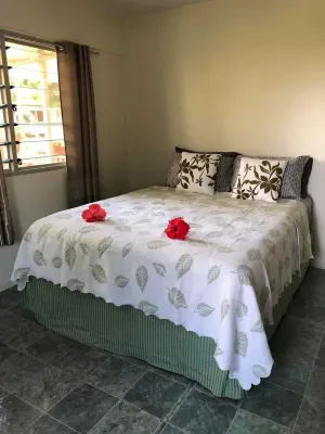 5 minutes to City Centre of Apia on Private Estate Hotels near Samoa Lokostyle