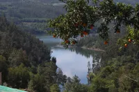 Bouço Velho's Corner Hotels in Couto de Esteves