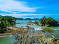 Serene Jungle Stay with Breathtaking Views