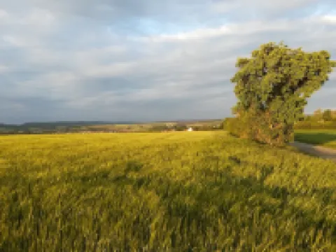 big flat with wide view 榮-格拉伯菲爾德縣酒店