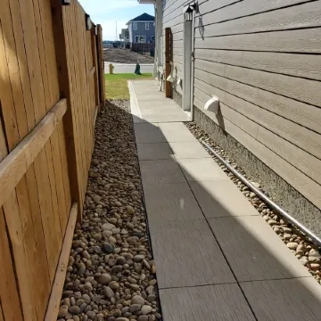 Paradise in the Meadows