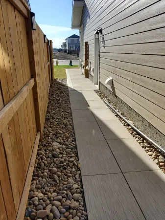 Paradise in the Meadows