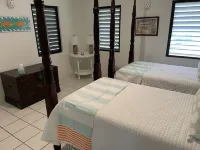 Breezy 3-bedroom beachside villa in serene Nevis with AC, WiFi Hotels in Newcastle