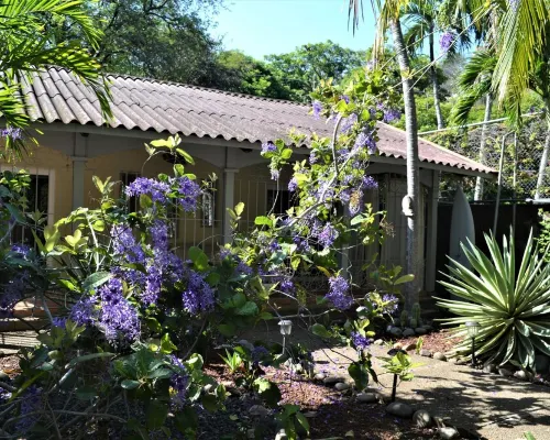 La Casita Private garden view beachfront Hotel a Sardinal
