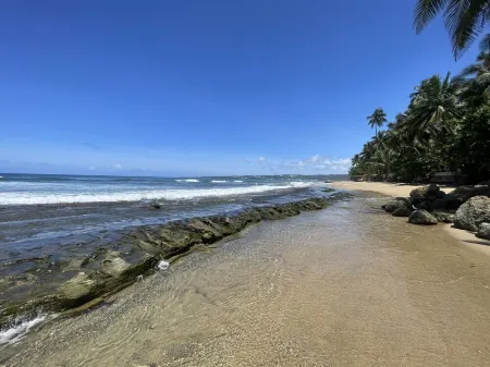 Table Rock Beachfront Penthouse Minutes from Rincon and Excellent Surfing