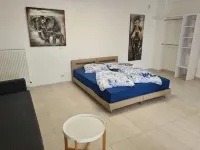 B - Fafa Home Hof With Pool