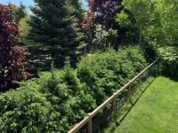 Cozy family home. Min to downtown, beaches, golf, and trails! Hotels in Cornwall