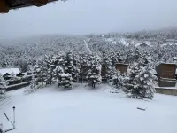 Cozy apartment in La Molina Hotels in Alp