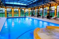 Les Saules Parc et Spa Hotel a Chatillon-sur-Chalaronne