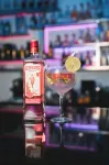 Anton Reef - bar