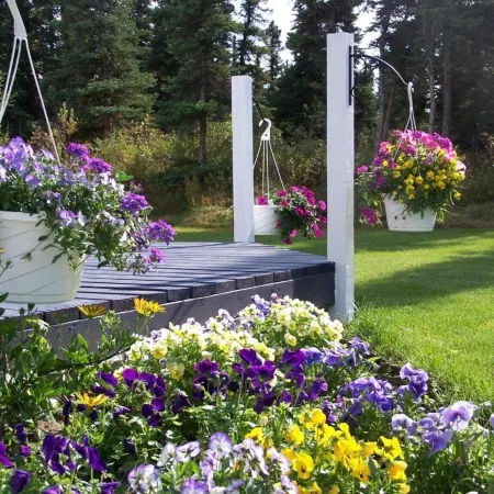 Denali Primrose Bed & Breakfast