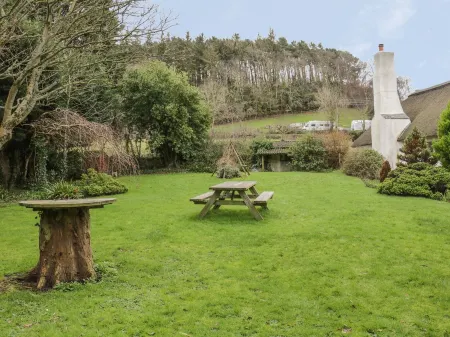 Alice Cottage Отели в г. Майнхед Витхаут