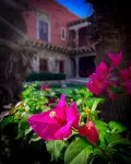 Hacienda de Los Santos - Spa