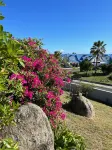 Tiko Lodge Sxm - Homestays