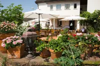 Hotel Hirsch Hotels in Kehl