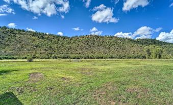 Serene Dolores Cabin w/ Patio & River Access!