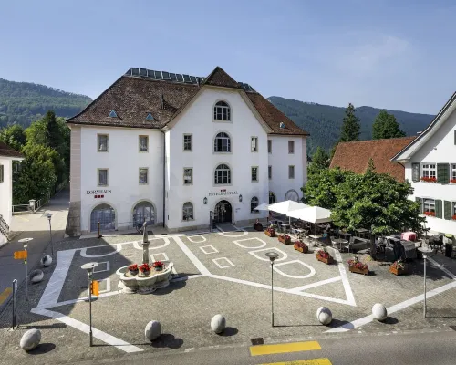 Hotel Balsthal Отели в г. Бальсталь