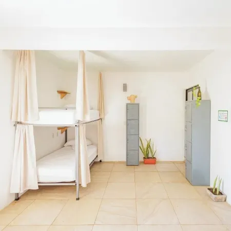 SurfNest Hostel