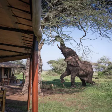 Mawe Luxury Tented Camp