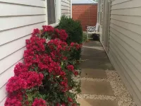 Ruby's Queenscliff Hotels in Queenscliff