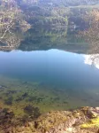 Lochwood House B&B and Self Catering Hotels in Tarbet
