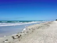 Beachfront Bungalow w/ Pool & Hot Tub in IRB