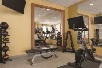 Hilton Garden Inn Allentown Bethlehem Airport - salle de sport