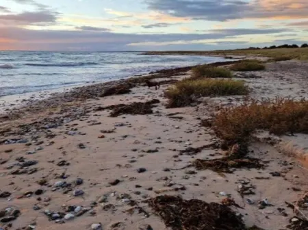 5 Person Holiday Home in Rødby-by Traum