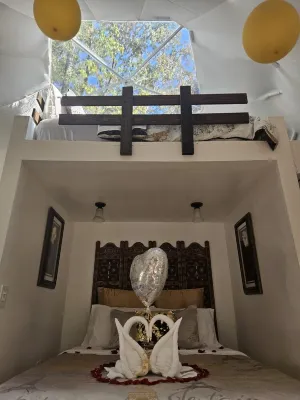 Luxury Glamping Domes