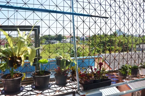 Local home for rent at Donsak Thailand Hotels in Don Sak