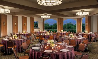 Sol Cypress, San Antonio, A Tribute Portfolio Hotel