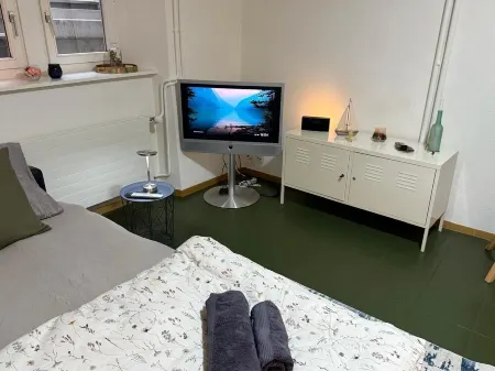 Central and relaxed apartment in Fribourg next to the Cathedral!