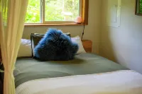 Cozy Forest Cabin in the Beautiful Sayward Valley
