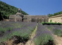 Beauregard, your home in Provence Hotels in Orgon