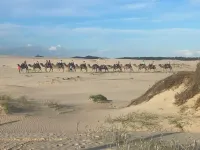 Anna Bay Beachside Getaway Hotels in Anna Bay