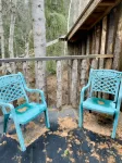 Lynx, wildlife, custom log cabin . private lake access, salmon stream kayaking,