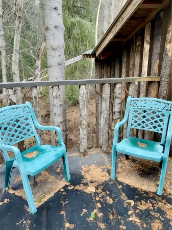 Lynx, wildlife, custom log cabin . private lake access, salmon stream kayaking, Отели в г. Муз Пасс