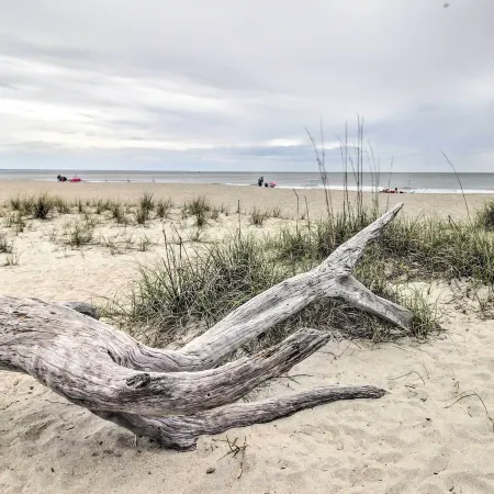 Ideally Located Luxe Beach House on Tybee Island