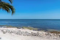 Oceans 23 - Beach
