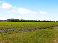 "Rahild" - 10km from the sea - Homestays