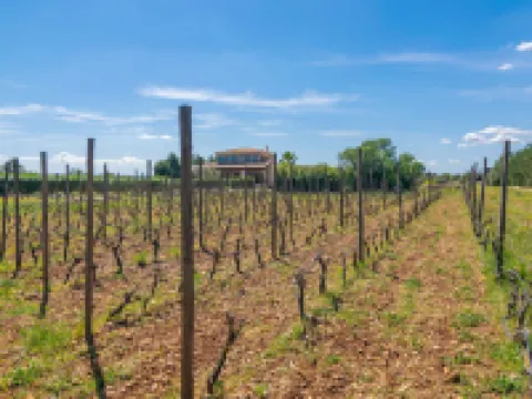 Finca Aria - Villa With Private Pool In Búger