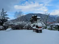 Apartment in the Vosges