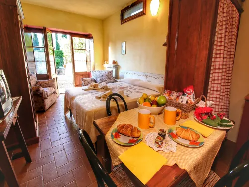 Chianti Hillside Farmhouse - Homestays