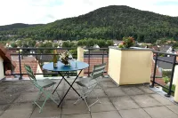 Apartment 130 m² - Panoramic view of the Vosges foothills and medieval KB