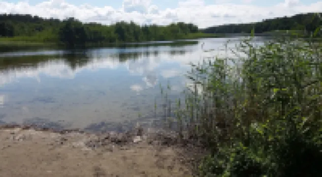 Apartment in Kolczewo Near Amber Baltic Golf