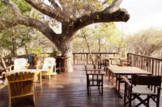 Needles Lodge Hotels in 