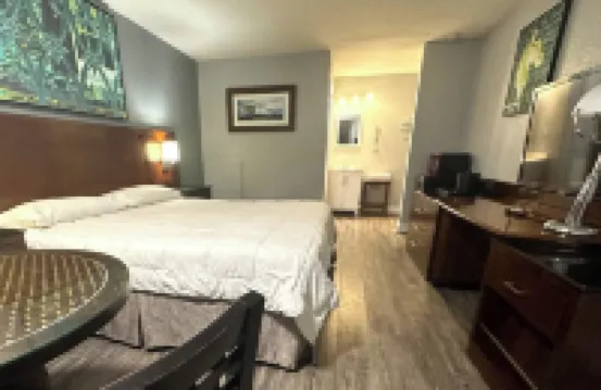 Courtland Inn Motel Hotels in Franklin